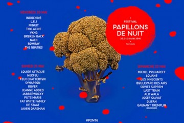 affiche du festival les papillons de nuit