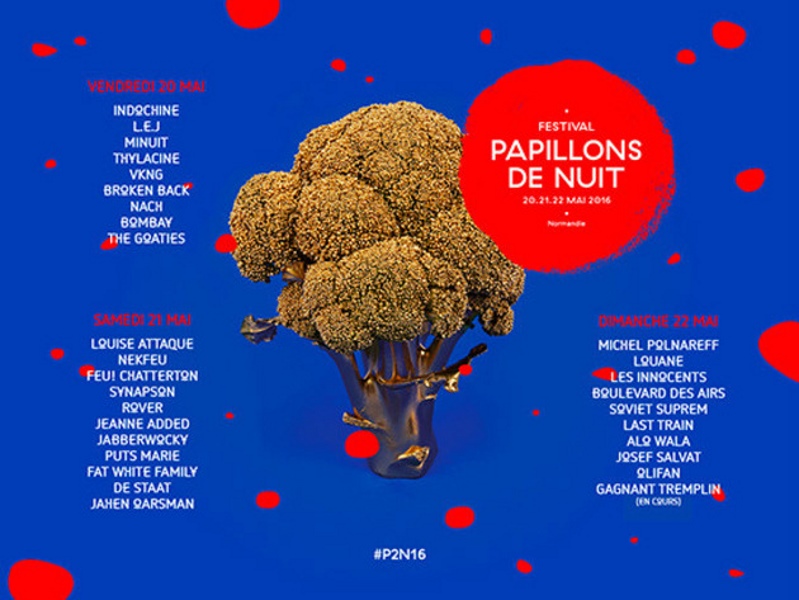 affiche du festival les papillons de nuit